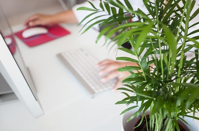 事務職が人気すぎるのはなぜ？応募殺到企業でも採用されやすい人とは